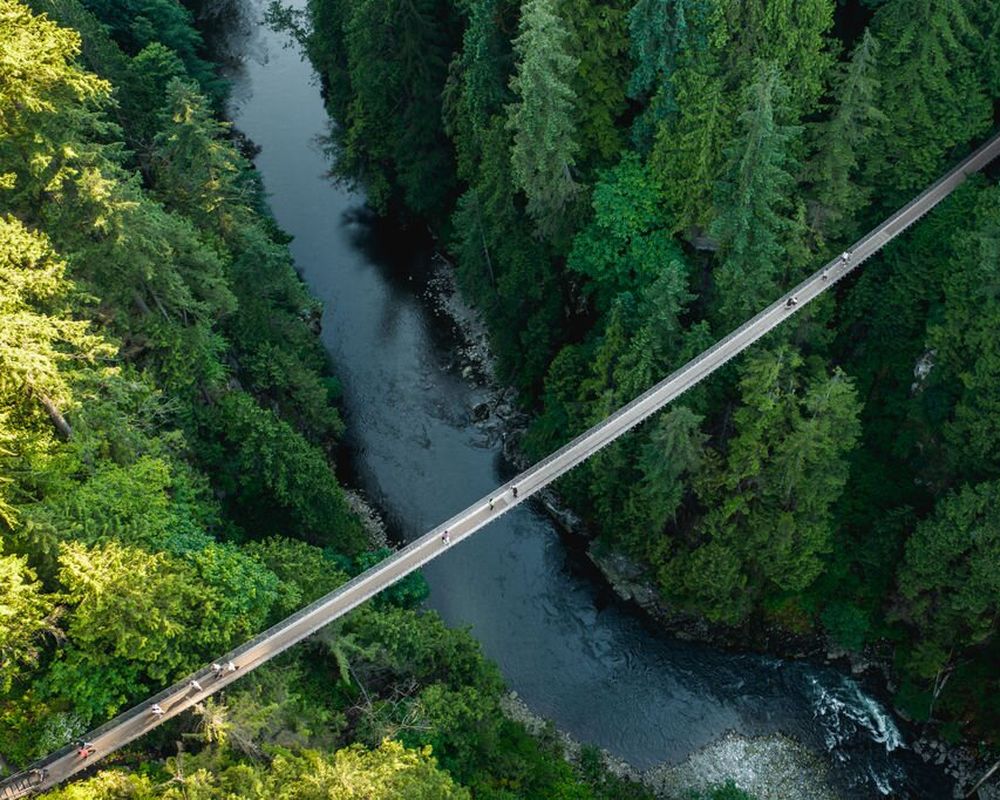 Capilano Suspension Bridge